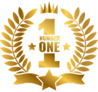 NZ First Hybrid Battery